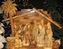 Olive Wood Creche (Nativity Scene) from Israel.