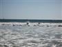 Surfers at Santa Monica Beach