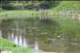 Big Springs