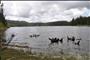 Sage Hen Reservior