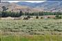 Farming in Idaho