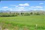 Fort Lemhi Today