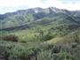 Mountains above Heber