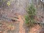 Trail by Silver Lake