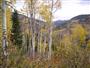Utah Mountains in the Fall