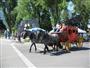 Stage Coach Ride in Jackson