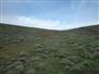 Rock Creek Hollow Wagon Ruts